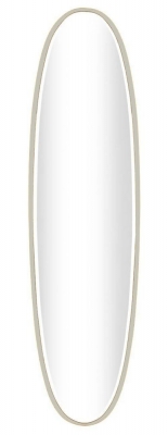 Product photograph of Mindy Brownes Blair Champagne Oval Wall Mirror - 36cm X 137 5cm from Choice Furniture Superstore
