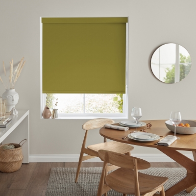 Product photograph of Miranda Moss Roller Blind from Choice Furniture Superstore