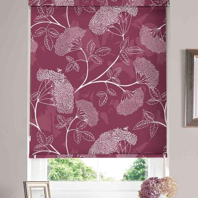 Product photograph of Elder Raspberry Roller Blind from Choice Furniture Superstore