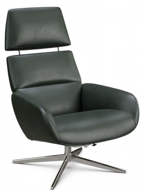 Product photograph of Ergo Plus Balder Dark Green Leather Swivel Recliner Chair from Choice Furniture Superstore