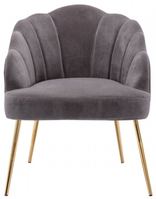 Product photograph of Vienna Velvet Upholstery Accent Chair from Choice Furniture Superstore