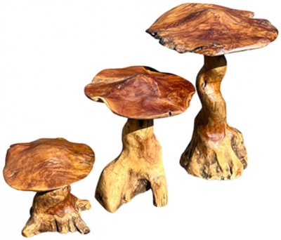 Product photograph of Teak Root Giant Wild Toadstools Set Of 3 from Choice Furniture Superstore