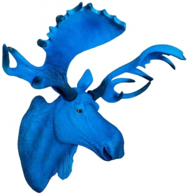 Product photograph of Electric Blue Moose Wall Head from Choice Furniture Superstore