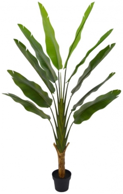 Product photograph of Extra Large Ornamental Strelitzia Tree from Choice Furniture Superstore