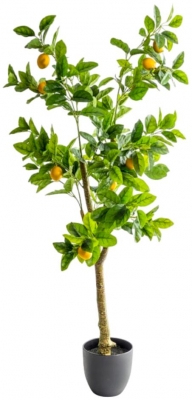 Large Ornamental Potted Lemon Tree