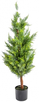 Product photograph of Large Potted Conifer Tree from Choice Furniture Superstore