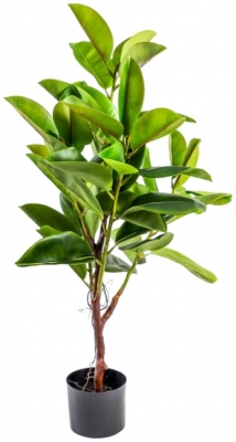 Product photograph of Large Potted Rubber Plant from Choice Furniture Superstore
