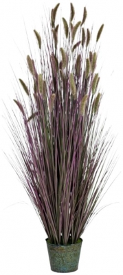 Multi Coloured Ornamental Grasses In Galvanised Pot Style 6