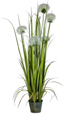 Ornamental Grasses In Galvanised Pot Style 3