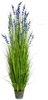 Ornamental Grasses In Galvanised Pot Style 8