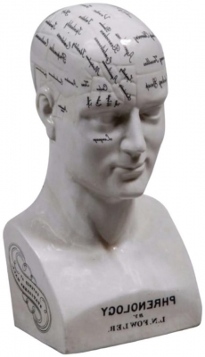 Product photograph of Large Antiqued Phrenology Head from Choice Furniture Superstore