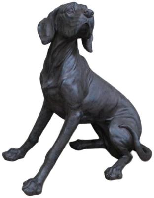 Black Dog
