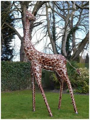 Product photograph of Giraffe Medium from Choice Furniture Superstore
