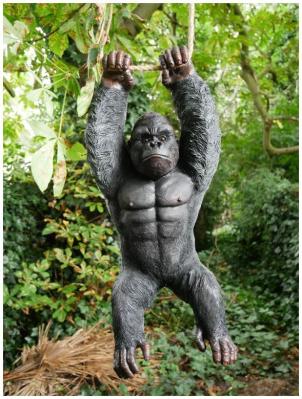 Product photograph of Hanging Gorilla Set Of 2 from Choice Furniture Superstore