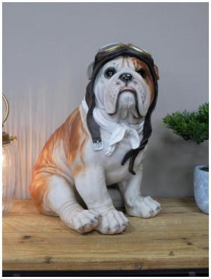 Product photograph of Large Pilot Dog from Choice Furniture Superstore