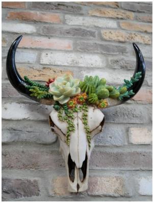 Large Skull Wall Decoration (Pack of 2)