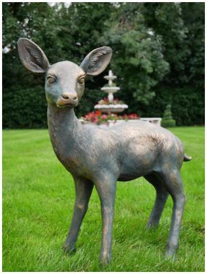 Small Deer