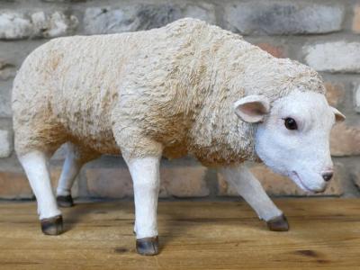Product photograph of Sheep - 9672 Set Of 2 from Choice Furniture Superstore