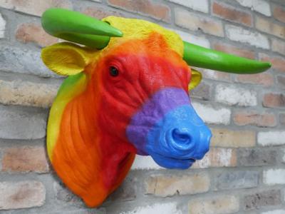 Product photograph of Rainbow Bull Head from Choice Furniture Superstore