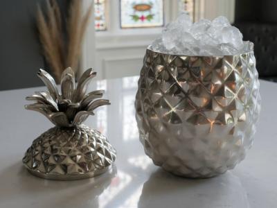 Product photograph of Aluminium Pineapple Ice Holder Set Of 2 from Choice Furniture Superstore