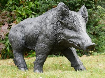 Product photograph of Large Boar from Choice Furniture Superstore