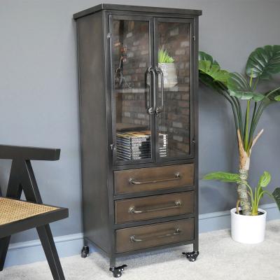 Dutch Industrial Bronze Metal And Glass 2 Door Display Cabinet