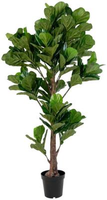 Product photograph of Montesano Green Fiddle Leaf Tree - 93cm X 190cm from Choice Furniture Superstore