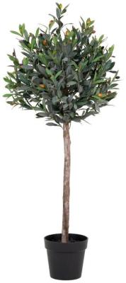 Product photograph of Green Olive Tree from Choice Furniture Superstore