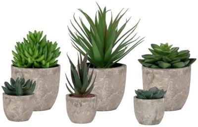 Product photograph of Babbitt Green Spello Flower Display from Choice Furniture Superstore