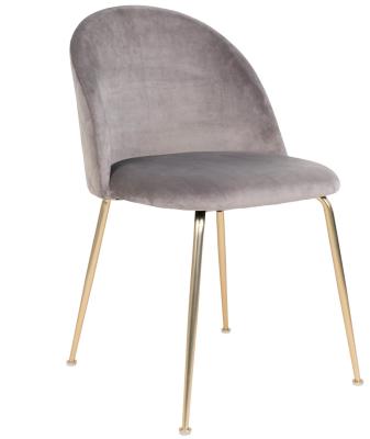 Set Of 2 Yardville Grey Velvet Fabric Dining Chair With Gold Legs