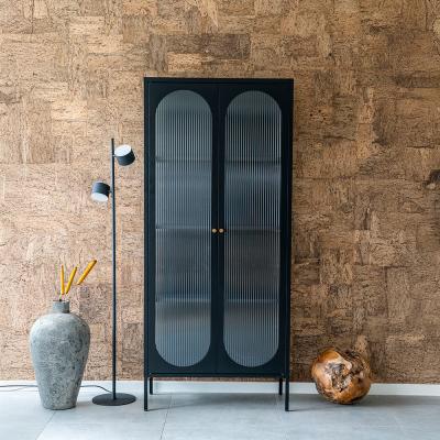 Adelaide Black Metal 2 Door Tall Cabinet