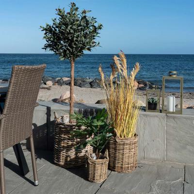 Sema Natural Kubu Rattan Basket Set Of 3