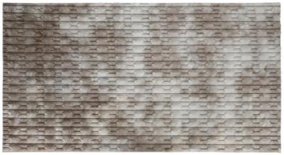 Erode Beige Fabric Rug 175cm X 100cm