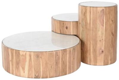 Modern Set Of 3 White And Natural Coffee Table