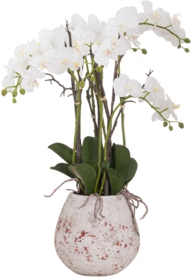 Product photograph of Large Stone Potted Orchid With Roots from Choice Furniture Superstore