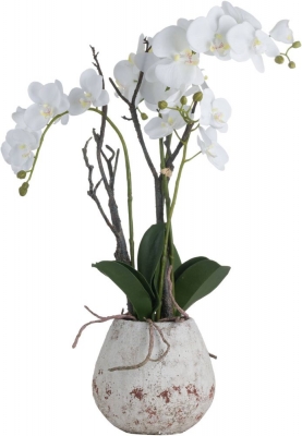 Product photograph of White Orchid In Stone Pot from Choice Furniture Superstore