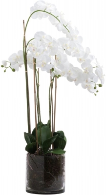 Product photograph of Large White Tall Orchid In Glass Pot from Choice Furniture Superstore