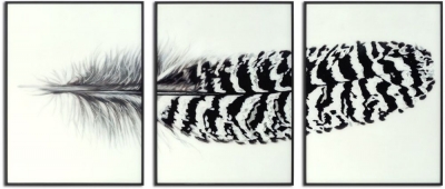 Hill Interiors Black Striped Feather Over 3 Black Glass Frames
