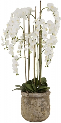 Product photograph of Large White Orchid In Antique Stone Pot from Choice Furniture Superstore