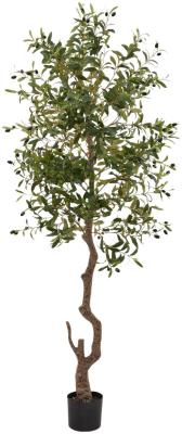 Product photograph of Calabria Olive Large Tree from Choice Furniture Superstore