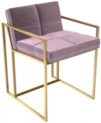 Product photograph of Federico Blush Velvet Chair With Brass Frame from Choice Furniture Superstore