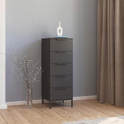 Rauch Flipp 5 Drawer Tall Chest With Metal Base Graphite