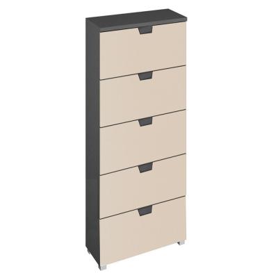 Rauch Aditio 5 Drawer Tall Chest - Metallic Dark Grey and Champagne