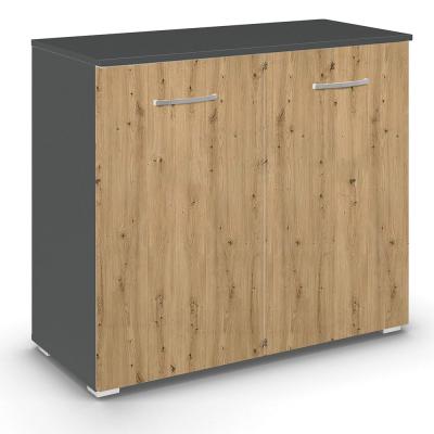 Rauch Aditio 2 Door Cupboard - Metallic Dark Grey and Artisan Oak
