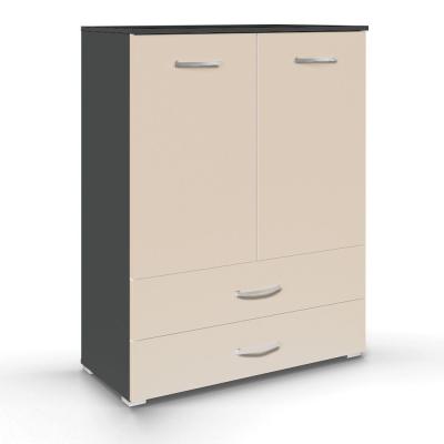 Rauch Aditio 2 Door Cupboard with 2 Bottom Drawer - Metallic Dark Grey and Champagne
