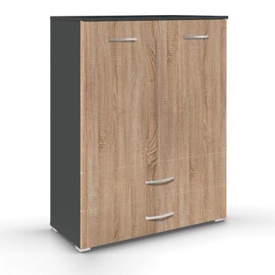Rauch Aditio 2 Door Cupboard with 2 Bottom Drawer - Metallic Dark Grey and Sonoma Oak