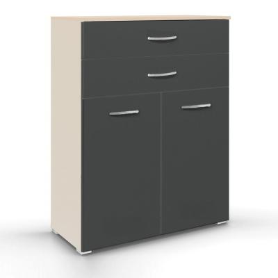 Rauch Aditio 2 Door Cupboard with 2 Top Drawer - Champagne and Metallic Dark Grey