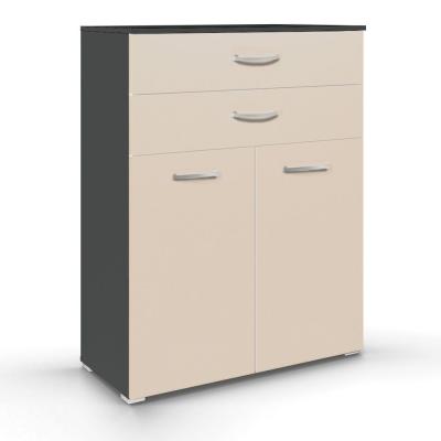 Rauch Aditio 2 Door Cupboard with 2 Top Drawer - Metallic Dark Grey and Champagne