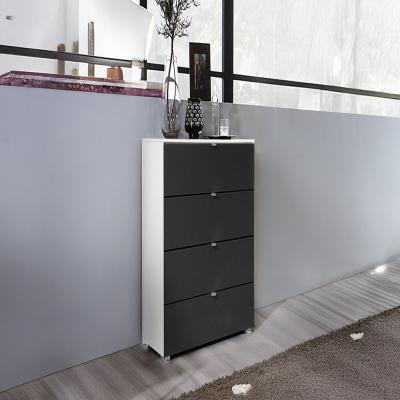 Rauch Erimo 4 Drawer Narrow Chest - Alpine White and Basalt Glass
