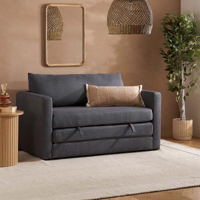 Eli Grey Fabric Small Pullout Sofa Bed 2 Seater